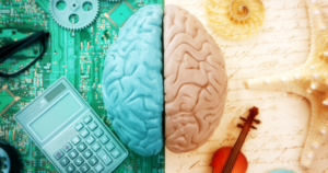 Split brain sculpture: blue left hemisphere and beige right hemisphere on a green circuit board with a calculator and gears nearby while decorative shells and a violin hint at art and culture.