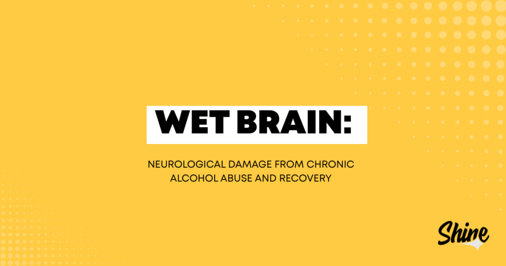 Yellow banner with bold 'WET BRAIN:' on a white label and subtitle about alcohol-related neurological damage; Shine logo bottom right.