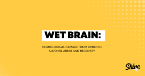Yellow banner with bold'WET BRAIN:' on a white label and subtitle about alcohol-related neurological damage; Shine logo bottom right.