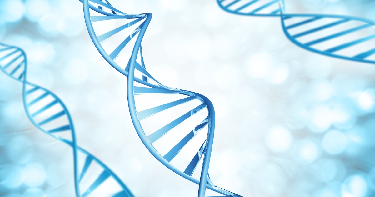 is ocd genetic — supporting image 1